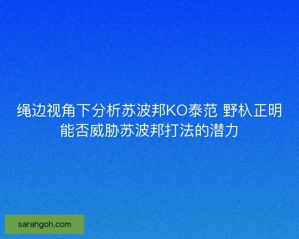 绳边视角下分析苏波邦KO泰范 野杁正明能否威胁苏波邦打法的潜力