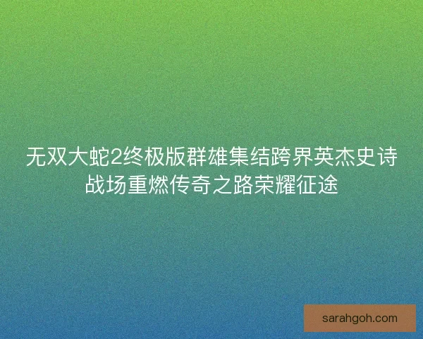 无双大蛇2终极版群雄集结跨界英杰史诗战场重燃传奇之路荣耀征途