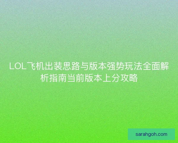 LOL飞机出装思路与版本强势玩法全面解析指南当前版本上分攻略
