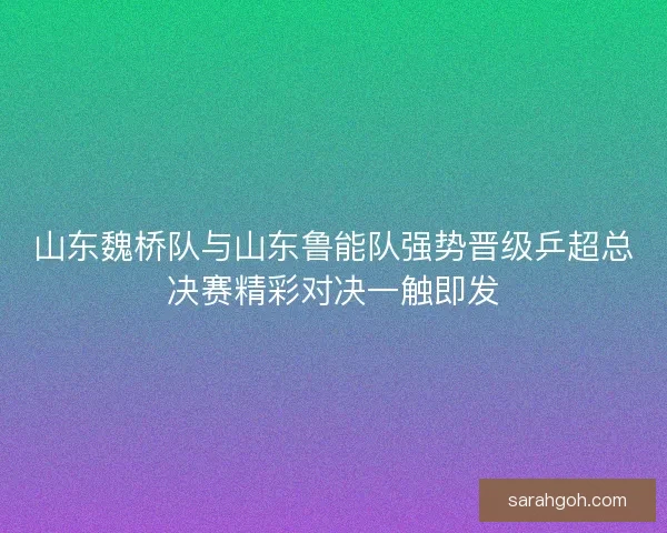 山东魏桥队与山东鲁能队强势晋级乒超总决赛精彩对决一触即发