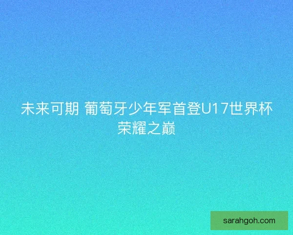 未来可期 葡萄牙少年军首登U17世界杯荣耀之巅