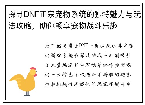 探寻DNF正宗宠物系统的独特魅力与玩法攻略，助你畅享宠物战斗乐趣